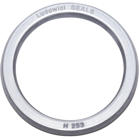 Ludowici Seal Solutions SEAL H PAK 00100718 
