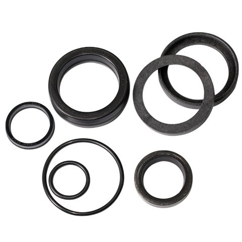 Ludowici Seal Solutions SEAL KIT ELEVATOR CROP DIVIDER CYL 87214805 
